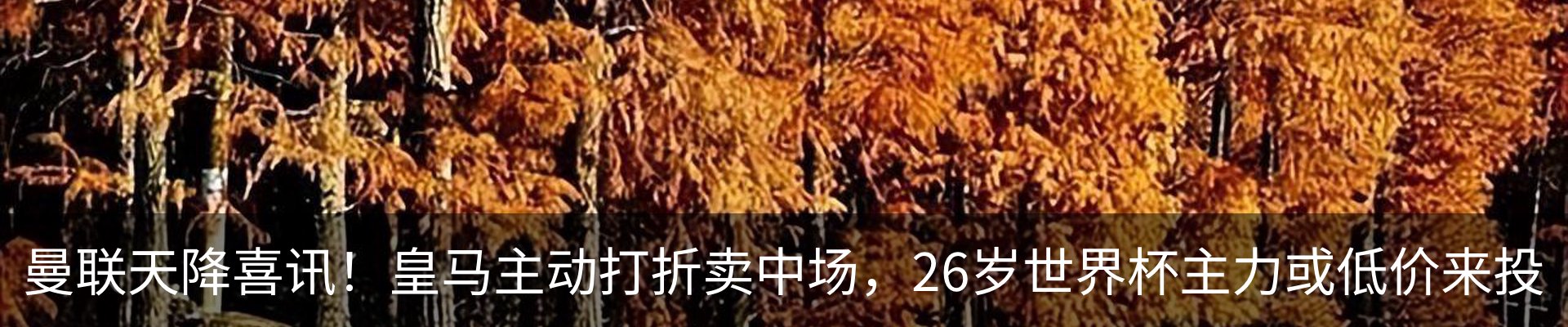 资讯中心